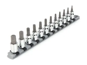 3/8 Inch Drive Torx Bit Socket Set. 12-Piece (T10-T60)