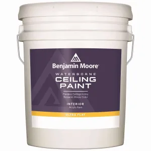 5 GAL WATERBORNE CEILING PAINT - Ultra Flat Finish