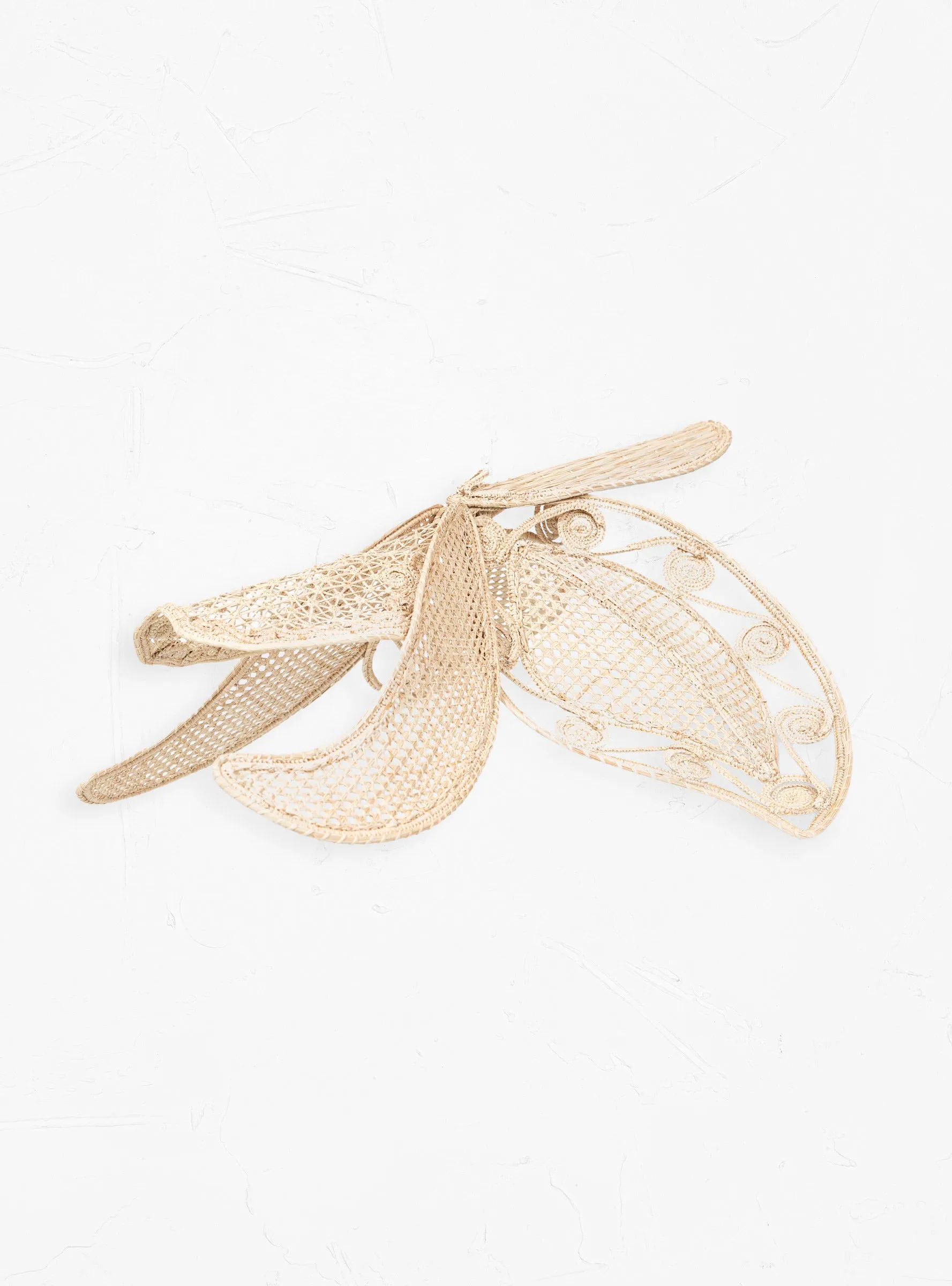 Cattleia Medium Wall Decoration