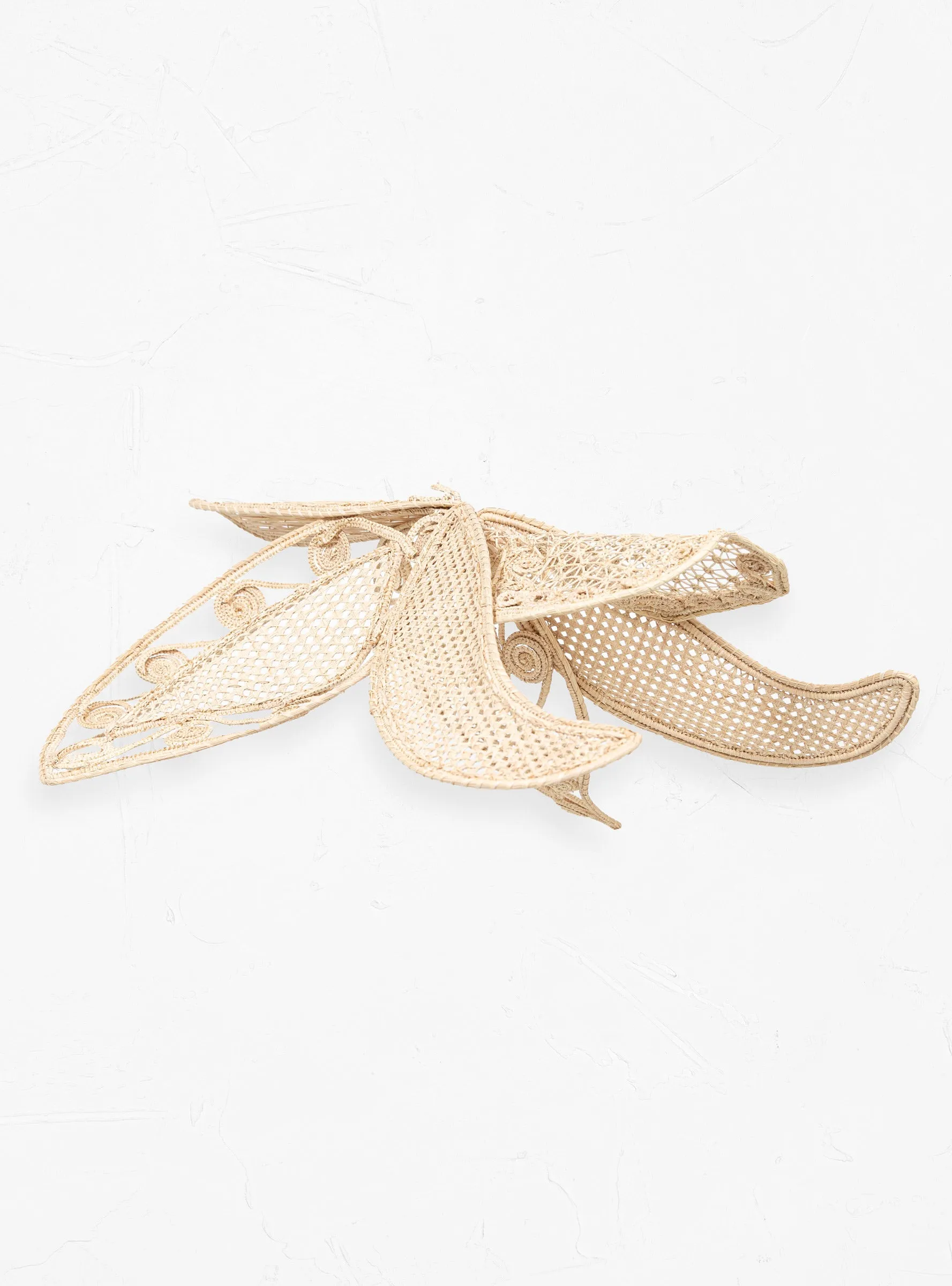 Cattleia Medium Wall Decoration